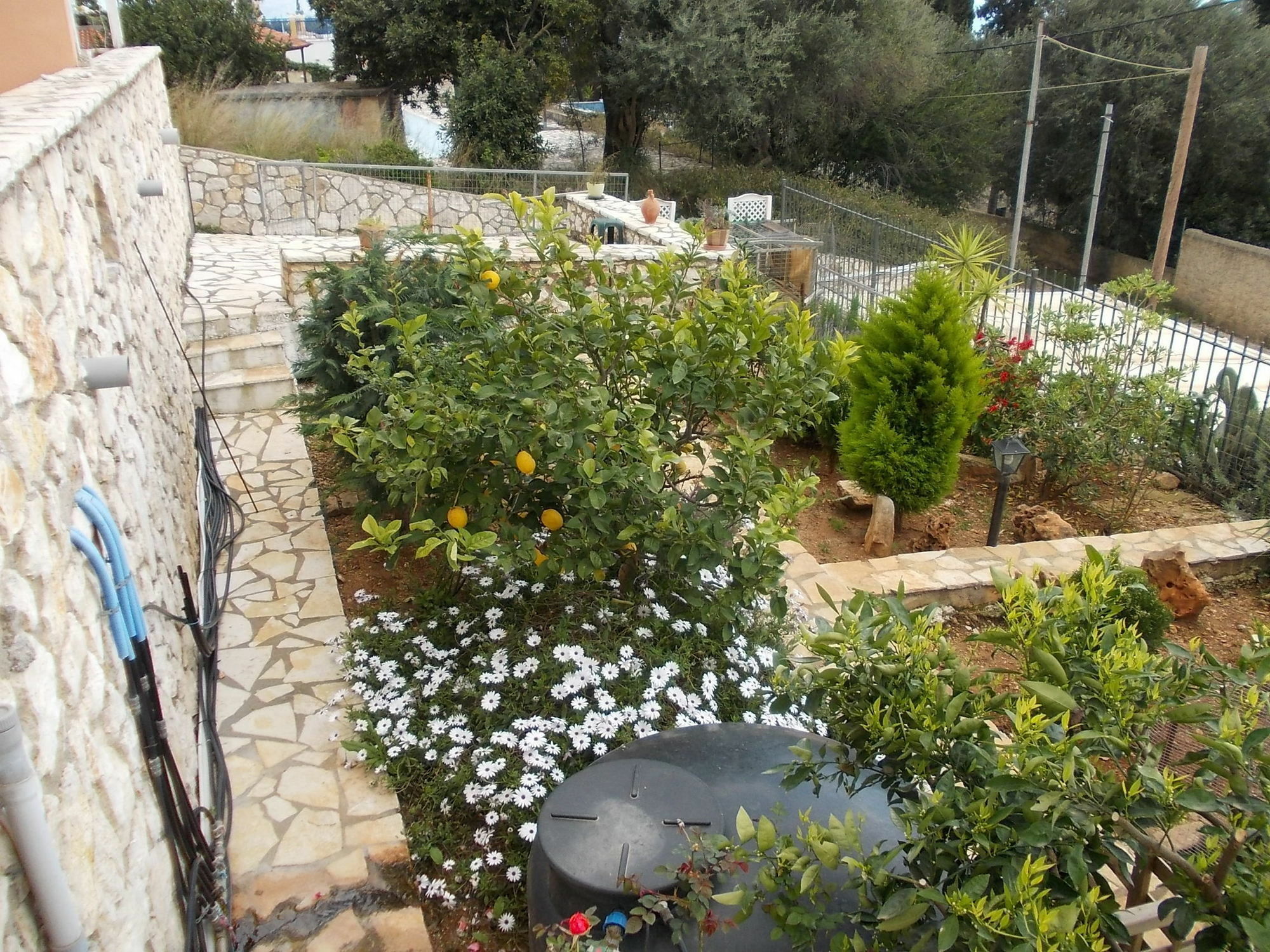 Sarakinos Apartments Barbati Buitenkant foto